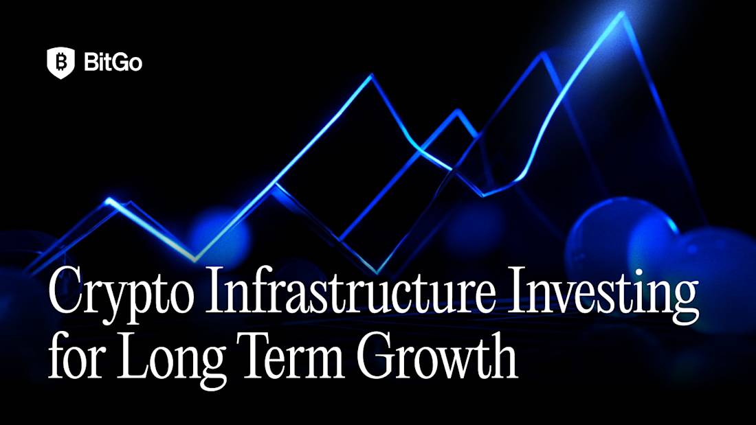 Crypto Infrastructure Investing for Long Term Growth.png